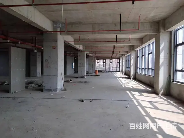 （老板本人）望城区金桥国际高铁西附近商铺/写字楼招租6015 - 图片 8