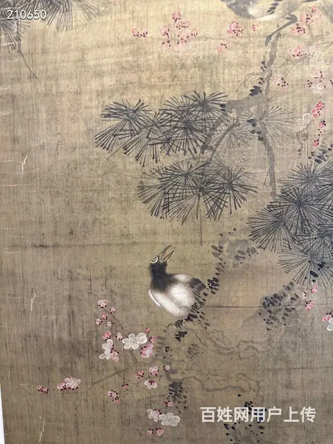 周之冕《松寿图》绢本立軸，画心尺寸66.5/154 - 图片 7
