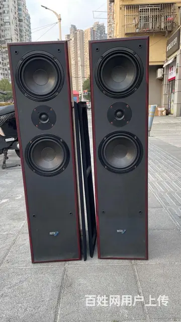 转让一对德国原装进口德高发烧落地音箱，双6.5寸寸 - 图片 1