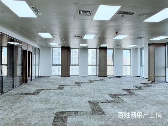 地铁口观音山  金谷广场  精装特价59元  多种面积 急租 - 图片 1