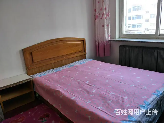 近中街大悦城，百乐小区女生合租押一付一450元/月包WiFI - 图片 1