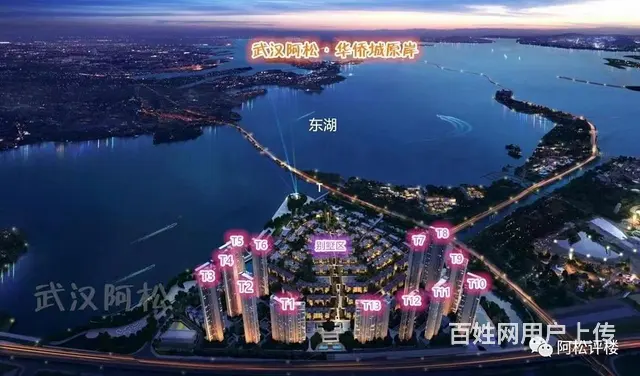 华侨城原岸 高层3房2卫 一线观东湖 无遮挡 南北 - 图片 11