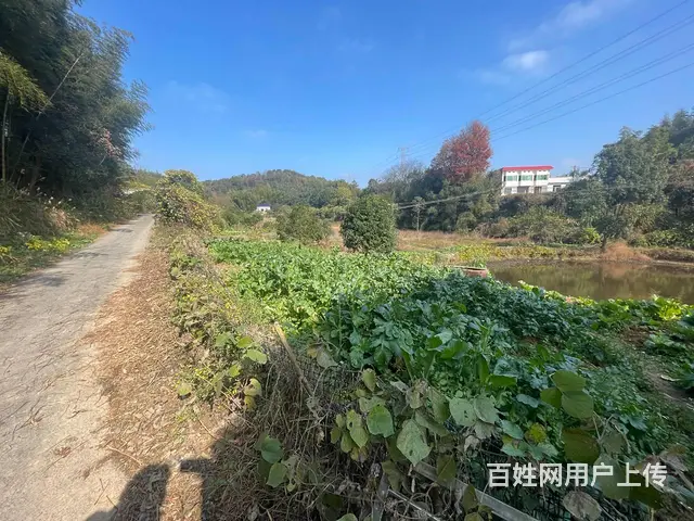 （老板本人）望城独门独院整栋房屋带鱼塘菜园出租  5738 - 图片 8