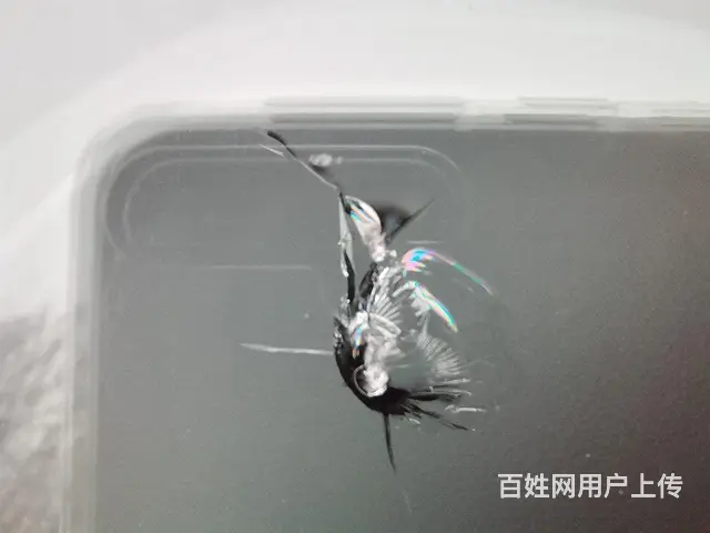 都江堰挡风选择修复需要注意什么 专业的建议 - 图片 1