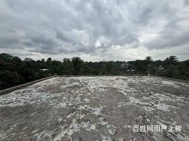 （51旺铺推荐）陵水700平独栋房子出售或出租 - 图片 1