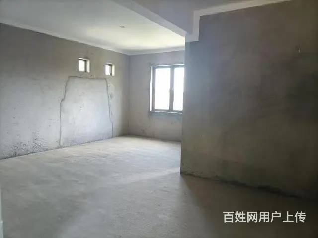 赵庄独栋别墅带车库 带花园300平左右 户型方正 采光通风好 - 图片 4