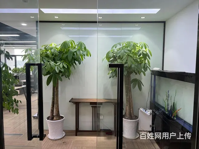 云狐科技园 直播电商好地方 房补1元 带露台精装直播间拎包 - 图片 1