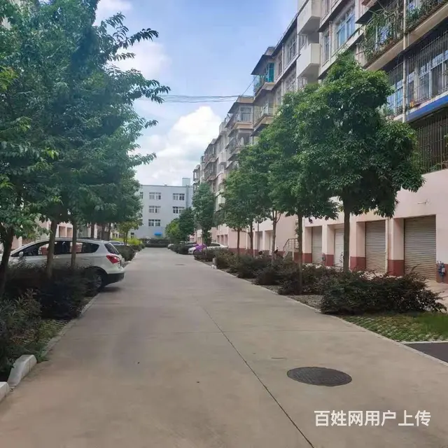 北苑小区 普通住宅2厅 中等装修 - 图片 3