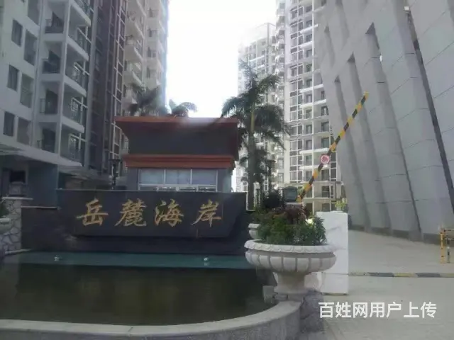 房东直租岳麓海岸精装修1室1厅 - 图片 1