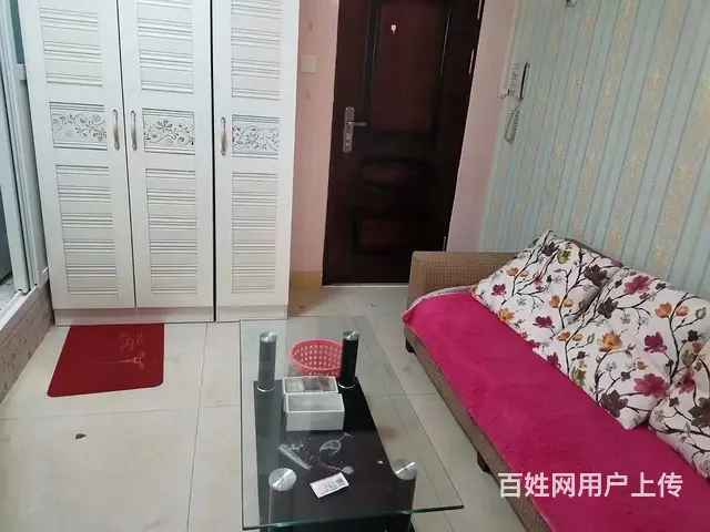 地铁房泰和花园独立单身公寓1100包物业.宽带包水费 - 图片 1