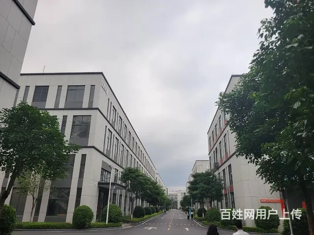 珠海唐家 五层独栋 2700到6000平 企业总部 独立产权 - 图片 9
