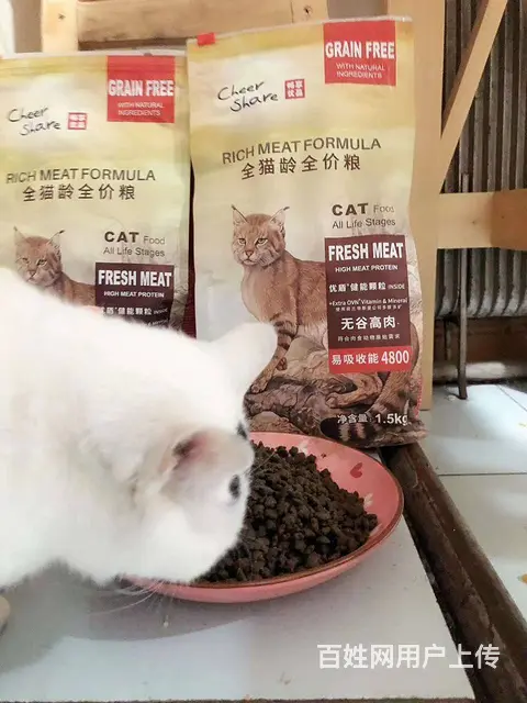 注意，猫狗粮送货上门（猫砂20当天送到 - 图片 1