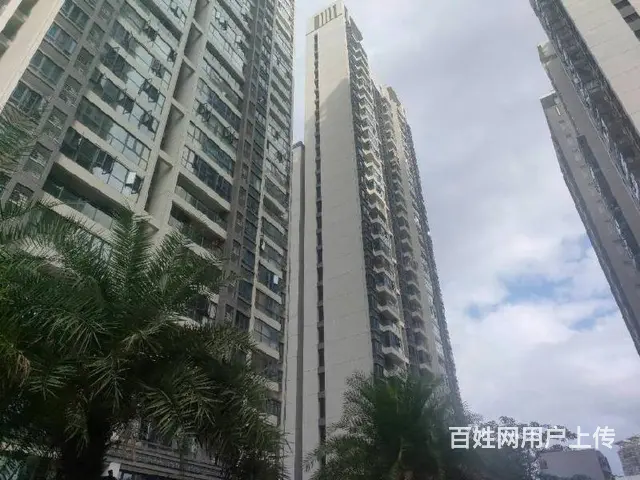 海德路商圈    星华海德豪庭3房毛坯房 - 图片 11