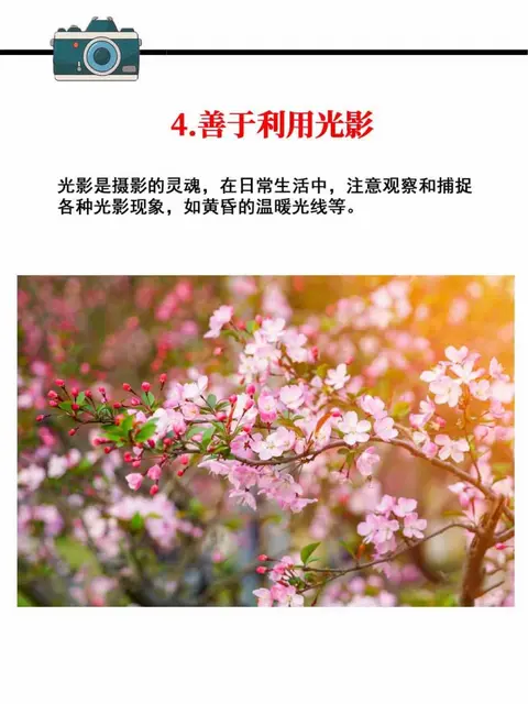 八大拍照技术来咯～ - 图片 4