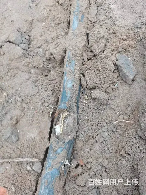 通辽高低压电缆故障检测。 - 图片 2