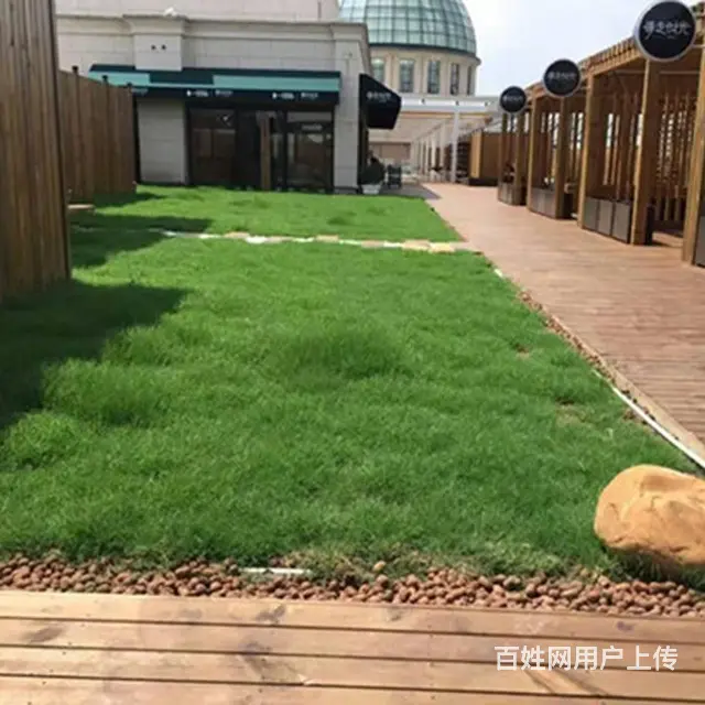 珠海陶粒 过筛无粉尘的靓陶粒 颗粒均匀饱满 硬度强 - 图片 7