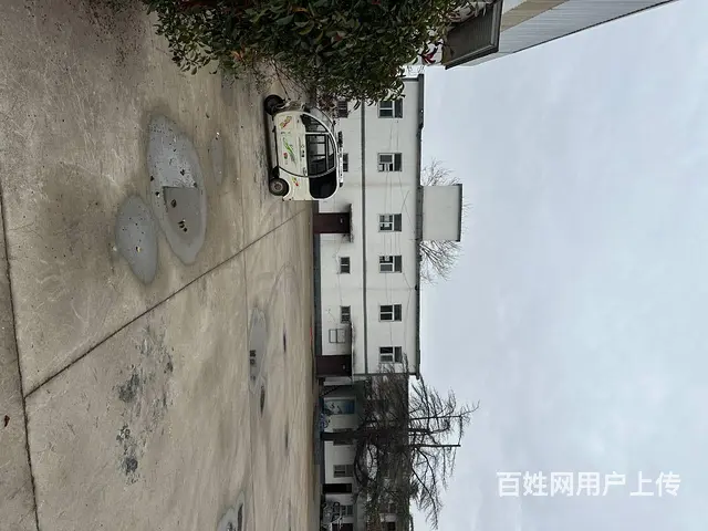 （城市在线找房免费）金山桥杨山路东大黄山附近标准厂房出租 - 图片 7