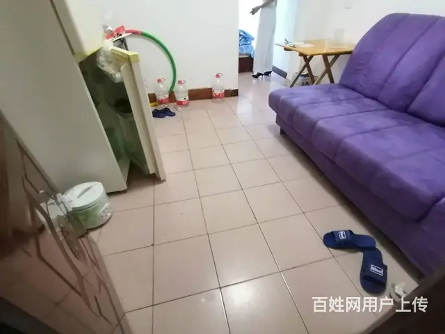 环城南路女子岗亭附近有房出租 普通住宅1厅 精装修， - 图片 4