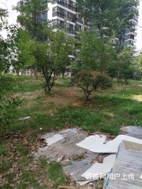 东沙花园 铁机路地铁站附近 上班方便 直接到达汉街 - 图片 11