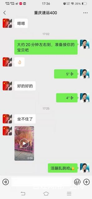 长沙宠物托运（猫狗鸽子金毛）活体运输邮寄到全国2023（推荐的图片