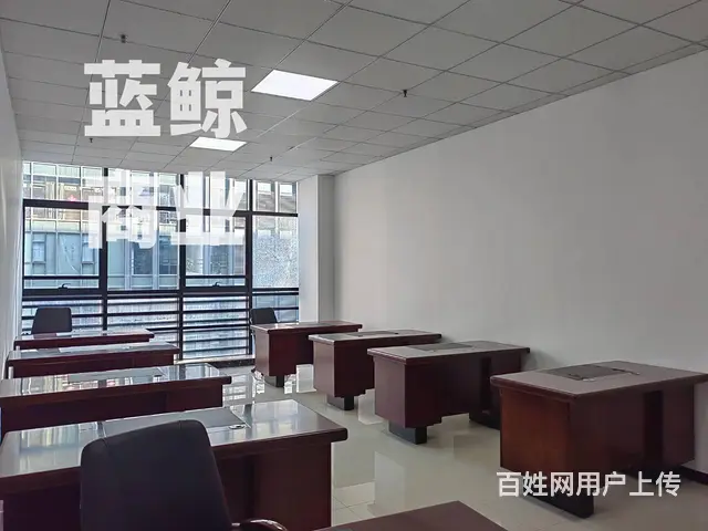 绿地商务城蓝海60到300平拎包办公 - 图片 4