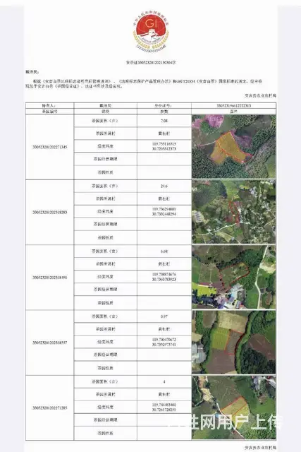 小戴白茶源自安吉白茶核心产区 - 图片 6