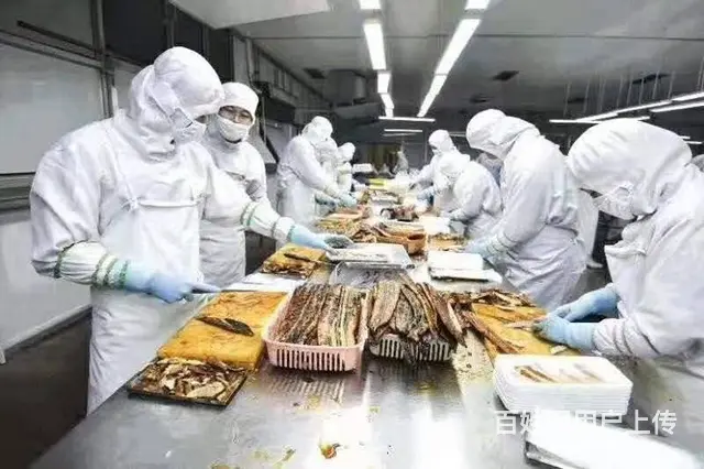 出国务工年薪30万起前期无费用（保签）不成功不收费 - 图片 2