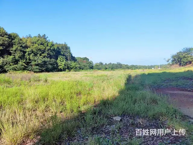 （老板本人）高速口300米厂房仓库整栋优价招租 5392 - 图片 8