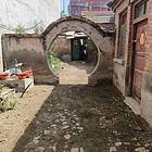 沈丘县城中村有院有花自建房急转