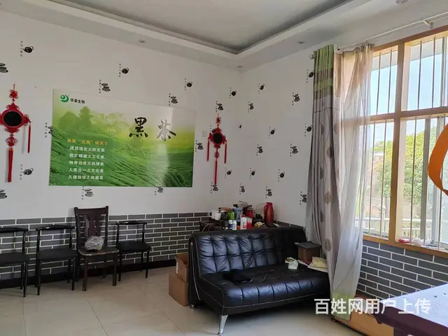 （老板本人）天心区大托铺整栋住房+厂房低价出租  5879 - 图片 4