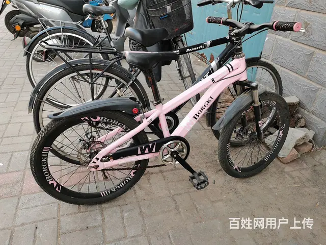 【搞定了！】20儿童自行车 - 图片 4