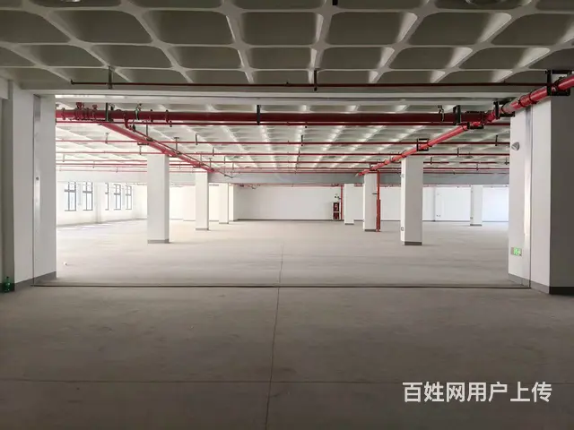 德清新市镇新建30000方厂房标准出租（1600方起租） - 图片 6