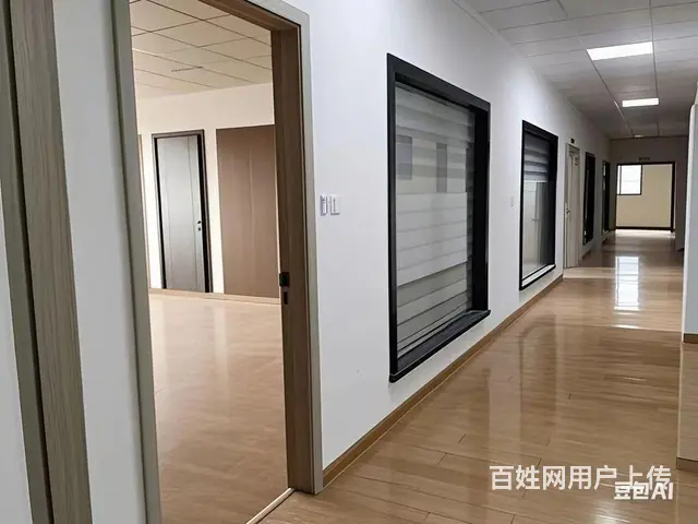 临安天目山镇7500方厂房出租（可分租） - 图片 4