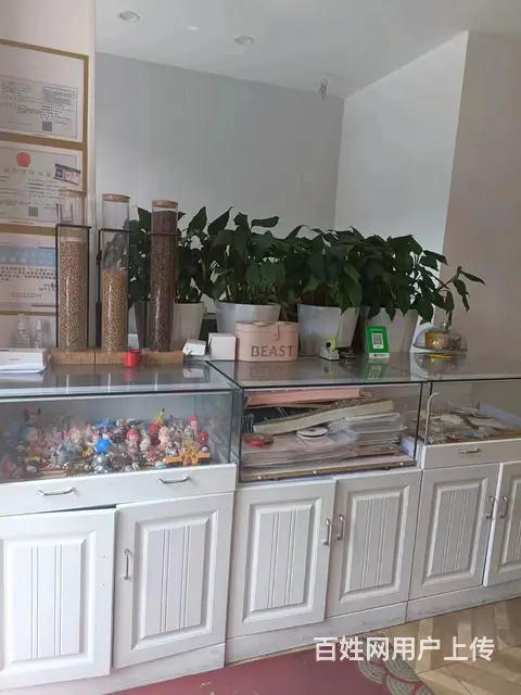 7925（七P）个人城北区祁连路金海湾临街店铺出租房东直租 - 图片 8