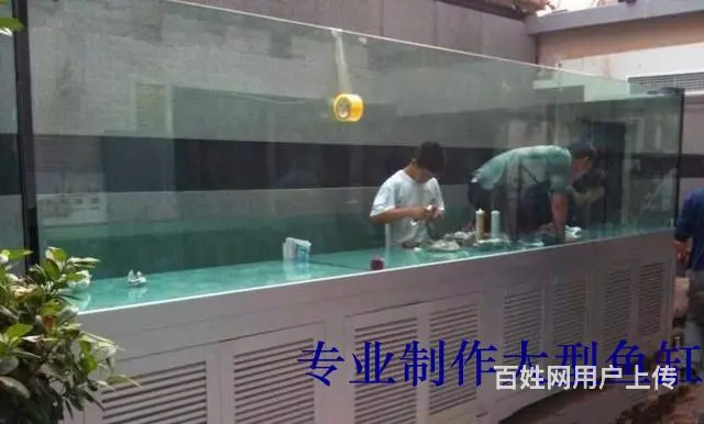 专业鱼缸清洗 维护 造景 鱼缸维修 - 图片 7