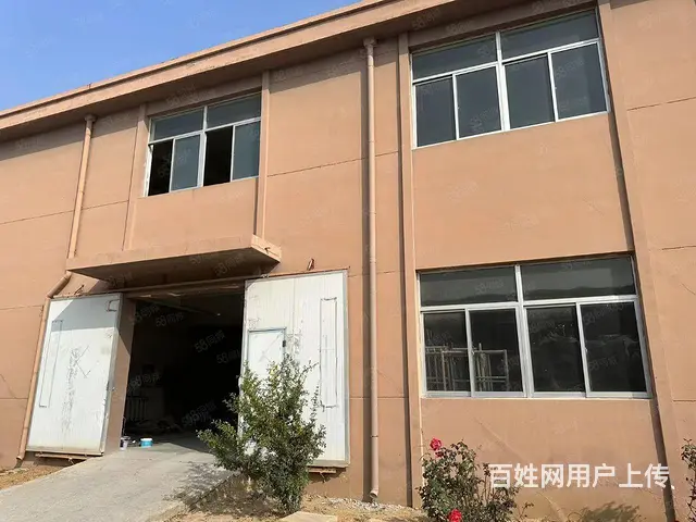 （新房源）羊亭标准框架结构厂房出租 出售 - 图片 6