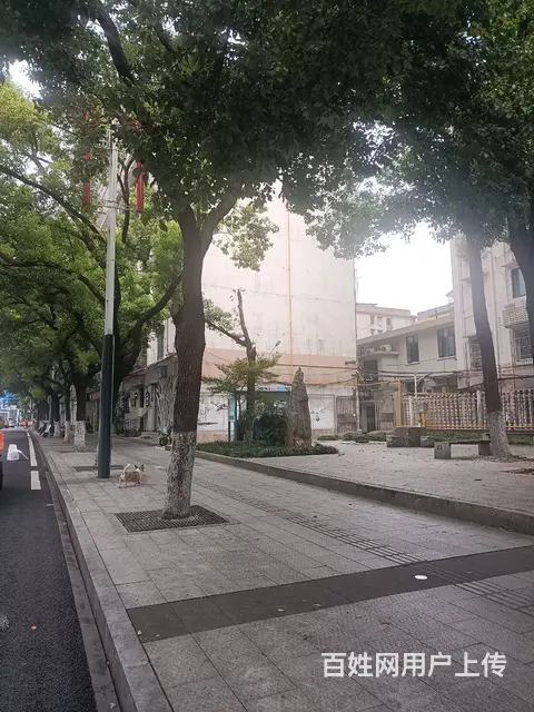 【搞定了！】松桂园营盘路三室一厅厨卫75平米1600元 - 图片 7