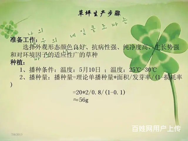 白三叶草籽秋播 - 图片 2