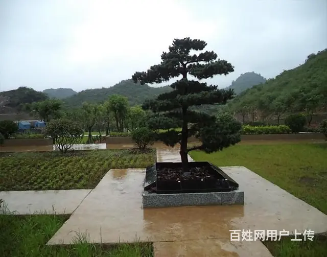 乌鲁木齐公墓大全,墓地价格是多少钱？看墓电话是多少 - 图片 1