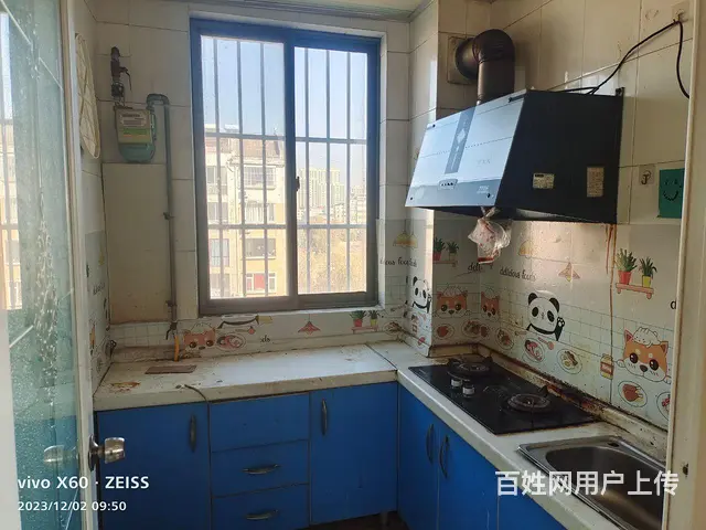 拎包入住 - 图片 8