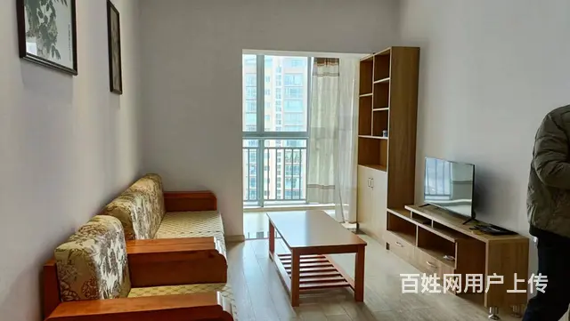 极中心 普通住宅2厅 精装修 - 图片 1
