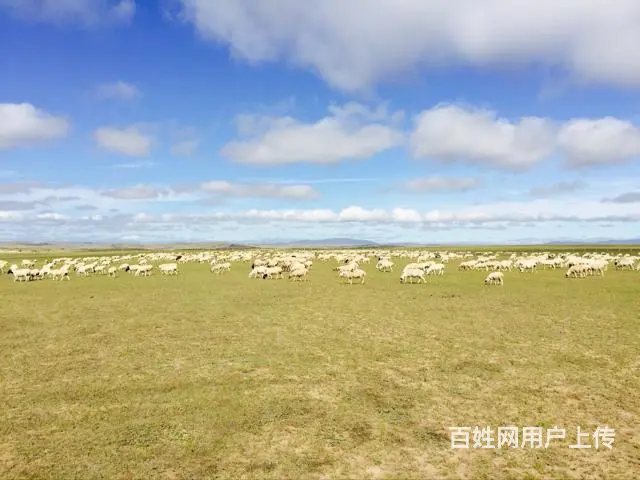 呼伦贝尔旅游包车刘伟师傅13191315131 - 图片 8