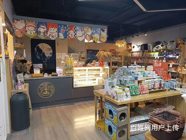 萧山北干商业中心店铺高端群体宠物猫咖店转让 - 图片 6