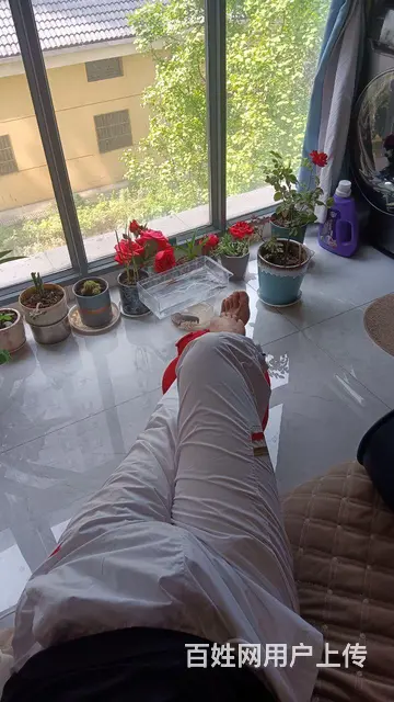 好好爱我，我把剩下的都给你 - 图片 6