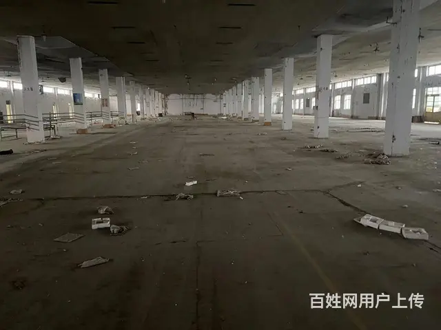 淄川区罗村镇厂房出租 - 图片 9