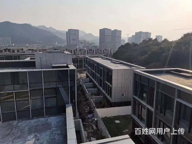 开发商清盘5折出售，富春硅谷独栋写字楼，赠送1000方花园 - 图片 10