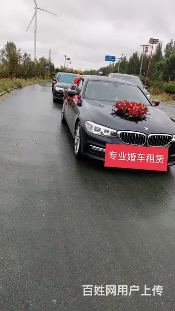 专业婚车租赁 - 图片 2