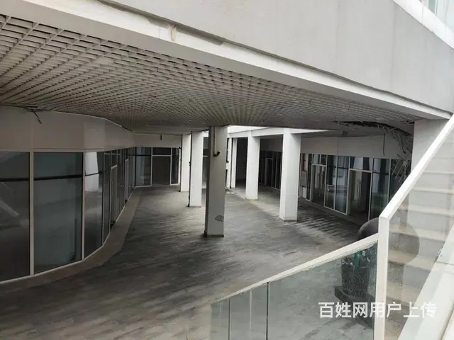 （51旺铺推荐）碧桂园中央半岛皇后港商业街40平铺面出租 - 图片 4