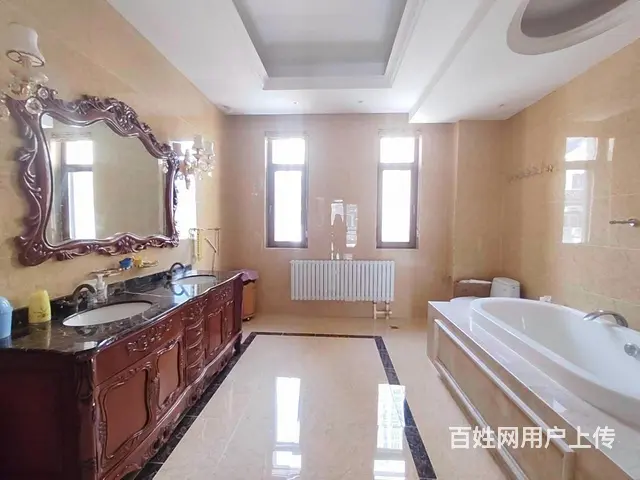 特推群力双拼里的   ，汇锦庄园双拼别墅大院带车库 - 图片 7