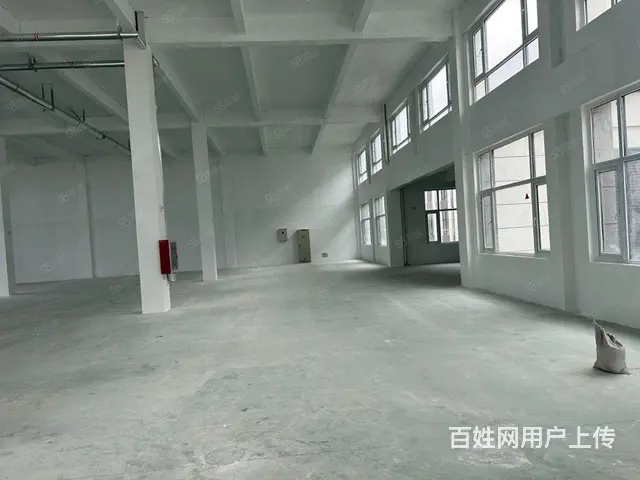 （新房源）张村标准框架厂房低价出租 - 图片 4